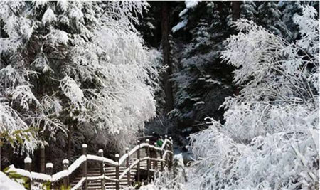 原來河南大雪過后這么美